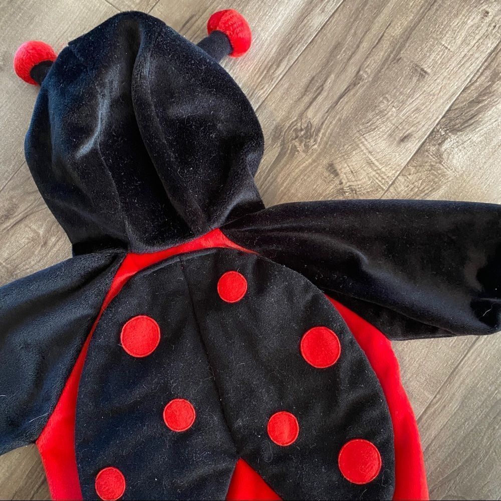 First Moments Lady Bug Outfit / Costume size 3/6 months - Picture 7 of 11